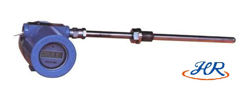 帶溫(wen)度變(bian)送器(qi)熱電(dian)阻